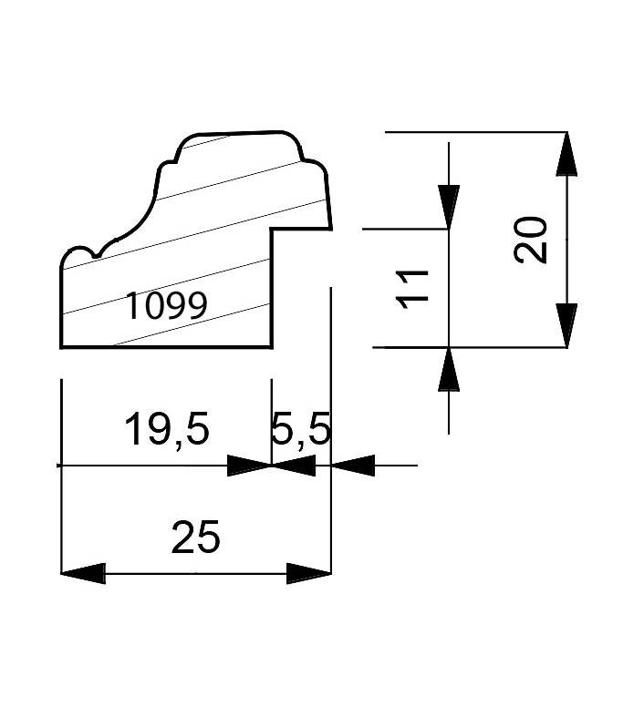 1099-dimensions