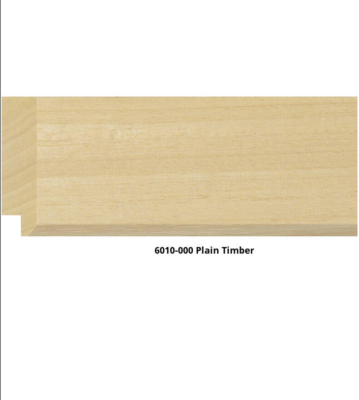 6010 Flat Case Moulding